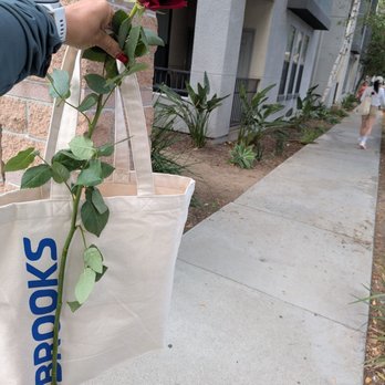 Run With Us - Shoe Stores Near Me - Pasadena, California Run With Us - Shoe Stores Near Me - Pasadena, California