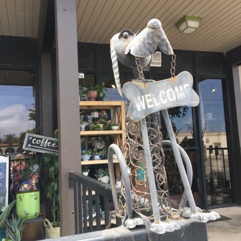 Zebra House Coffee - Coffee & Tea Near Me - San Clemente, California Zebra House Coffee - Coffee & Tea Near Me - San Clemente, California