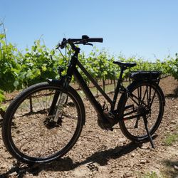 Sun-e-Bike