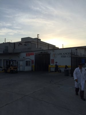 Los Angeles Fish Co by null