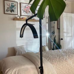 Eden Beauty & Wellness
