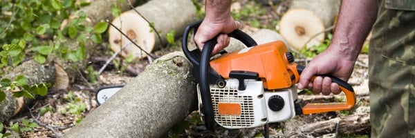 Empire Lawns - tree service in Fayetteville, AR