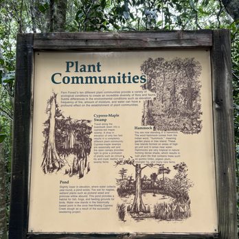 Fern Forest Nature Center - Parks Near Me - Coconut Creek, Florida