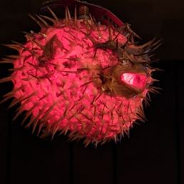 Grim "decorative lights" in the bar. Grim "decorative lights" in the bar.