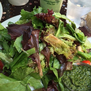 Urth Caffé-Pasadena - Grilled chicken pesto salad - Cafes Near Me - Pasadena, California Urth Caffé-Pasadena - Grilled chicken pesto salad - Cafes Near Me - Pasadena, California