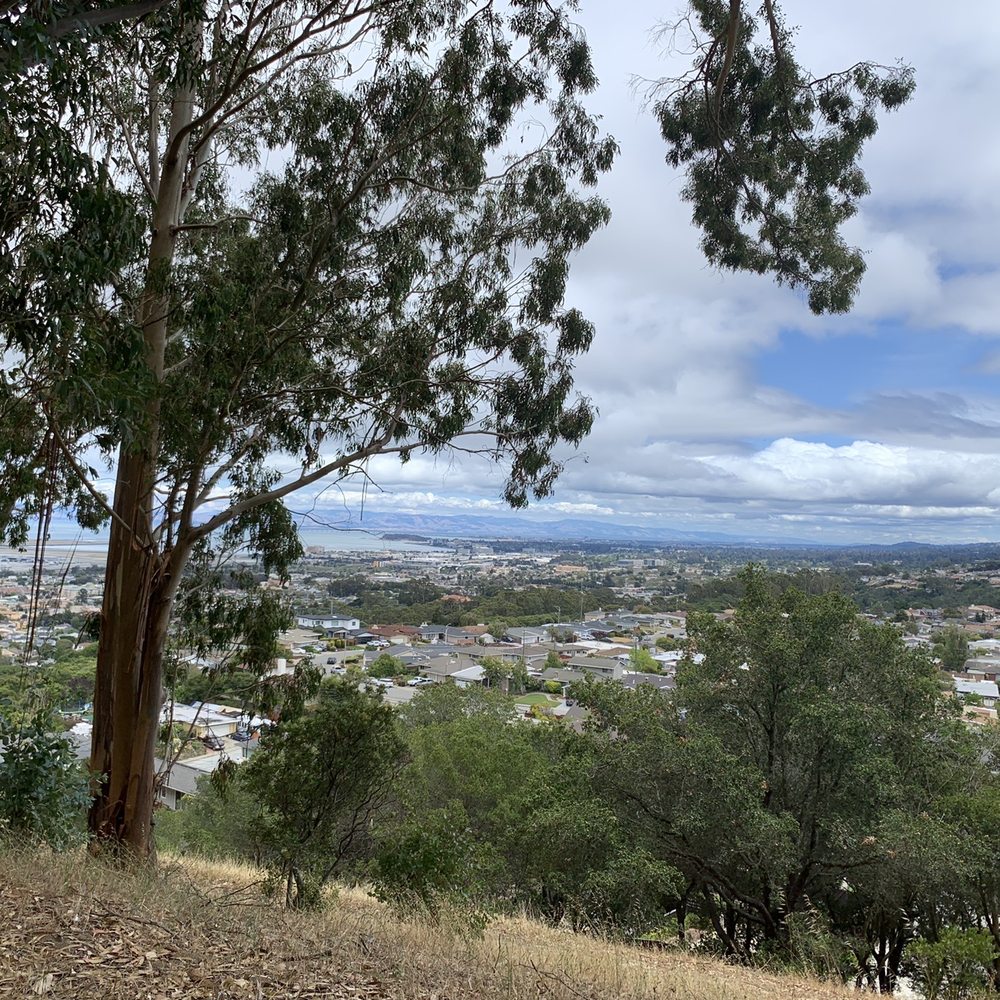 Junipero Serra Park - View from iris point - water tank - Parks Near Me - San Bruno, California Junipero Serra Park - View from iris point - water tank - Parks Near Me - San Bruno, California