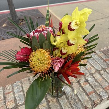 Purely Floral San Diego - Florists Near Me - Oceanside, California Purely Floral San Diego - Florists Near Me - Oceanside, California