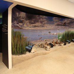 Imperial Valley Desert Museum - The Museum's diorama of the ancient Lake Cahuilla shoreline takes visitors back to a more lush, wetter period in the desert's history.