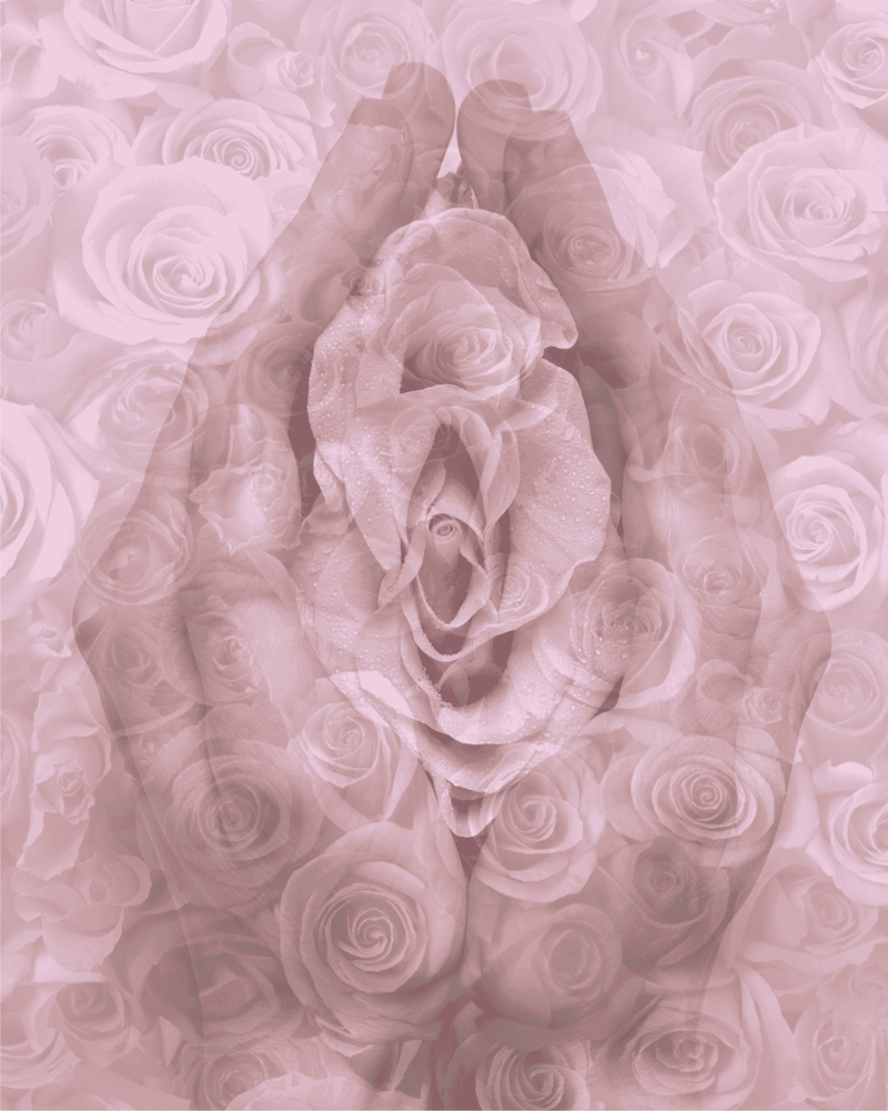 Matricentric Health & Well Care - grief counselor in Wilmington, DE