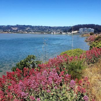 Albany Bulb - View looking up the bay - Landmarks & Historical Buildings Near Me - Albany, California