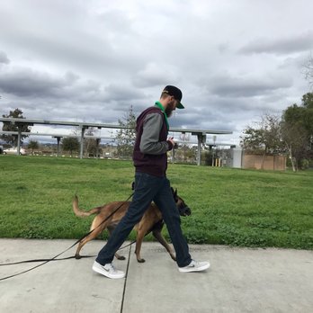 Performance K9 Training - Pet Training Near Me - Bonsall, California Performance K9 Training - Pet Training Near Me - Bonsall, California