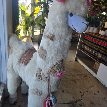 Flama Llama - Llamas! - Latin American Near Me - San Diego, California Flama Llama - Llamas! - Latin American Near Me - San Diego, California