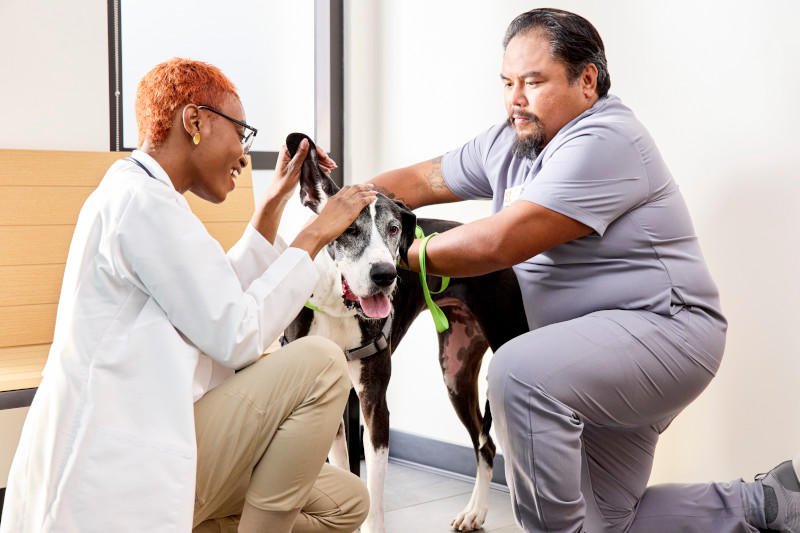 Banfield Pet Hospital Image