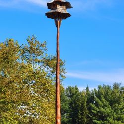 The Blueberry Treehouse Farm - The Blueberry Treehouse Farm