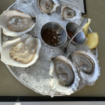 Scales - Raw oysters - Seafood Near Me - Portland, Maine Scales - Raw oysters - Seafood Near Me - Portland, Maine
