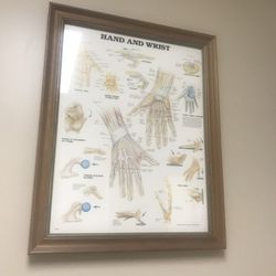 The Center for Bone & Joint Surgery