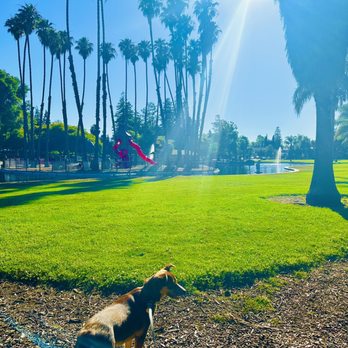 Las Palmas Dog Park - Dog Parks Near Me - Sunnyvale, California Las Palmas Dog Park - Dog Parks Near Me - Sunnyvale, California