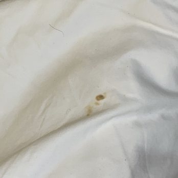 Knights Inn Seymour - Gross stain on sheets. - Hotels Near Me - Seymour, Indiana
