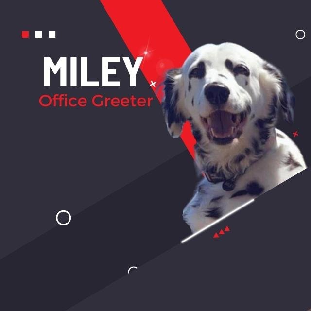 Slide of River Oaks Roofing