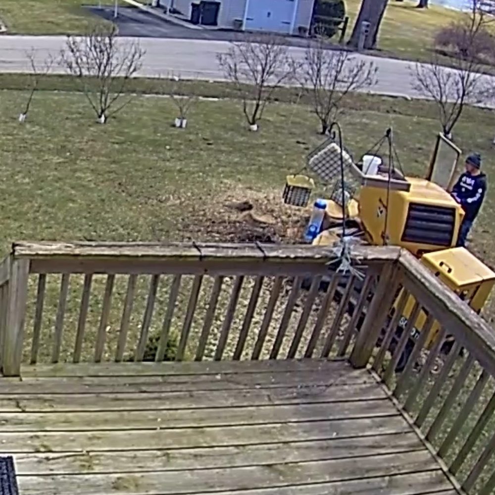 Red Oak Tree Service - Stump grinding - Tree Services Near Me - Crystal Lake, Illinois Red Oak Tree Service - Stump grinding - Tree Services Near Me - Crystal Lake, Illinois