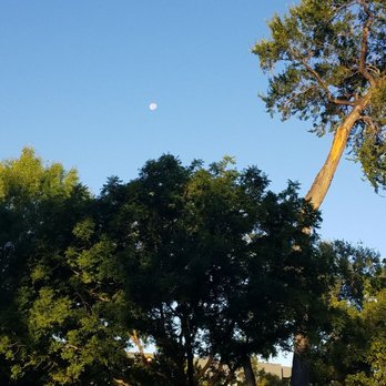 Robinson Park - Parks Near Me - Albuquerque, New Mexico