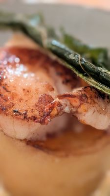 Salt Wood Kitchen and Oysterette by null