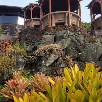 Kula Lodge - VERY unique and cool place to eat with stunning views!! - Hotels Near Me - Kula, Hawaii Kula Lodge - VERY unique and cool place to eat with stunning views!! - Hotels Near Me - Kula, Hawaii