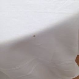 Cigarette burns in La Tavola table cloth Cigarette burns in La Tavola table cloth