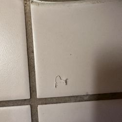 Akwesasne Mohawk Casino Resort - Used toilet paper