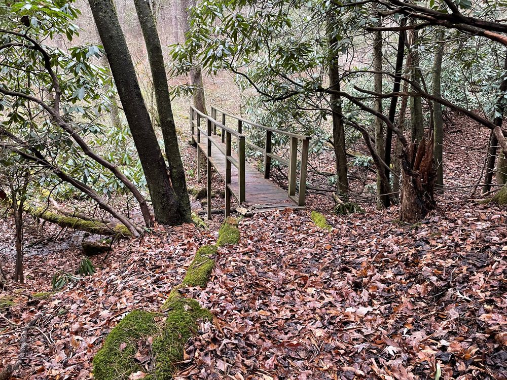 Social spots from Mercer County Gardner Center