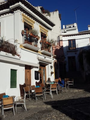 Café 4 Gatos by null