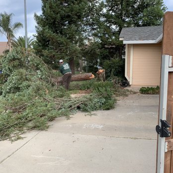 R & D Landscaping - Trim and chip - Landscaping Near Me