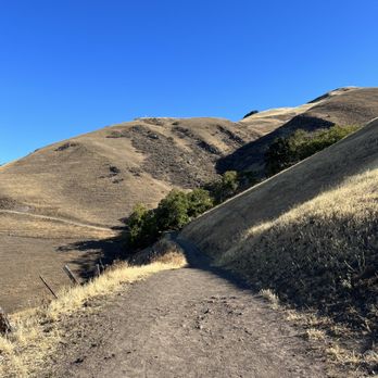 Ed R. Levin County Park - Up n up - Dog Parks Near Me - Milpitas, California Ed R. Levin County Park - Up n up - Dog Parks Near Me - Milpitas, California