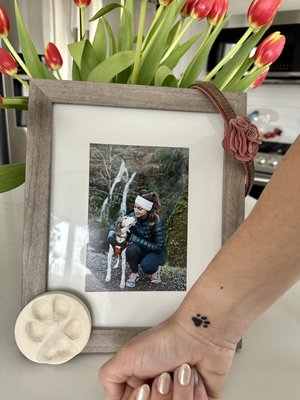 Eventide Tattoo by null