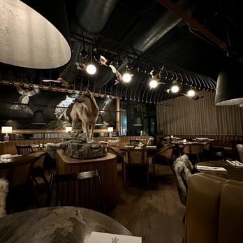 Wren & Wolf - Interior - Cocktail Bars Near Me - Phoenix, Arizona Wren & Wolf - Interior - Cocktail Bars Near Me - Phoenix, Arizona