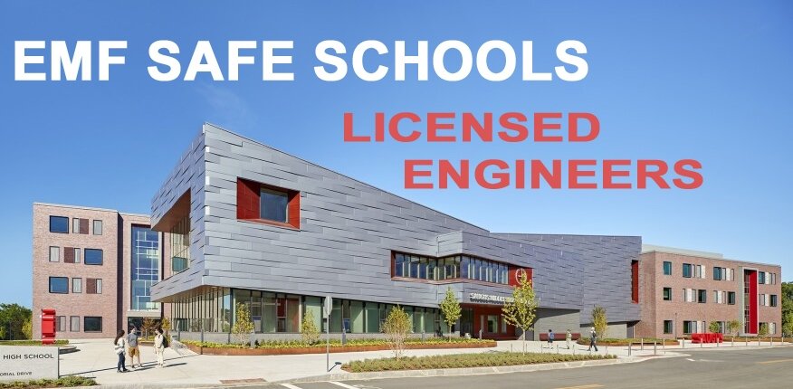 Safe Healthy Home Inspection - mold inspector in Verona, NJ