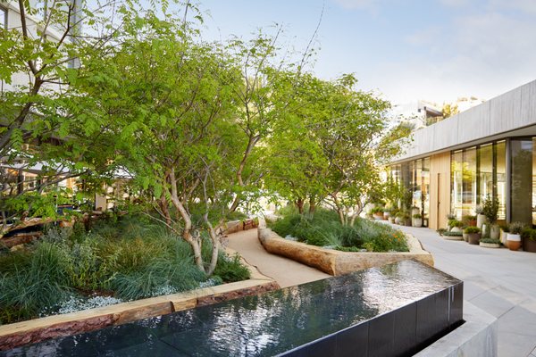 1 Hotel West Hollywood by null