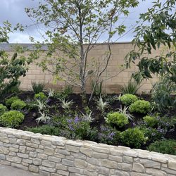 Corona Landscaping and Design
