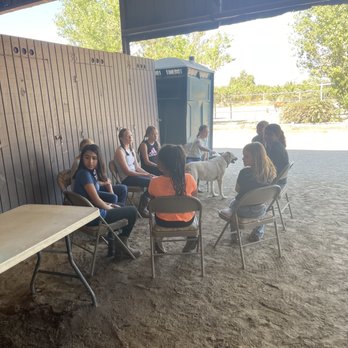 Stacey Turner Training Stables Riding School - Horseback riding camp morning gathering. - Horseback Riding Near Me - Norco, California Stacey Turner Training Stables Riding School - Horseback riding camp morning gathering. - Horseback Riding Near Me - Norco, California