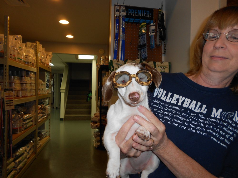 BOGUE ANIMAL HOSPITAL Updated September 2024 21 Photos 429 N