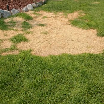 ScottsMiracle-Gro - Weed B Gon Lawn Killer 3 - Nurseries & Gardening Near Me - Marysville, Ohio ScottsMiracle-Gro - Weed B Gon Lawn Killer 3 - Nurseries & Gardening Near Me - Marysville, Ohio