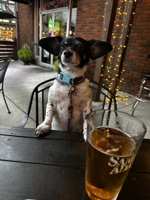 The Stratford Pub by null