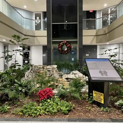 Neuro Imaging Winter Park