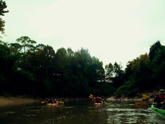 Bayou City Adventures by null