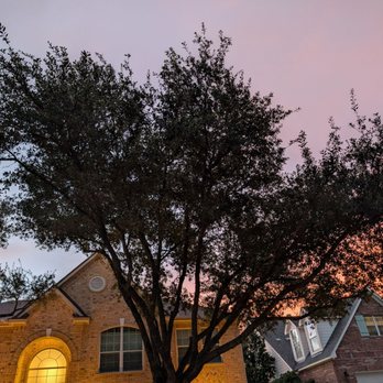 Metropolitan Tree Services - Tree Services Near Me