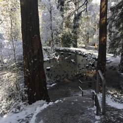 Bowen Park Complex - Duck pond in the winter