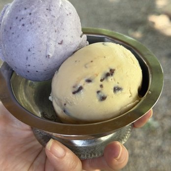 Spotted Duck - Fleur Bleu and Ditch Mint Chip was - Ice Cream & Frozen Yogurt Near Me - Penn Yan, New York