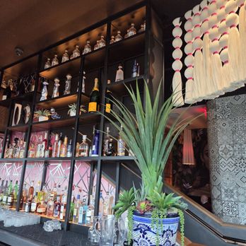 Mi Vida - Bar - Mexican Near Me - Virginia Beach, Virginia Mi Vida - Bar - Mexican Near Me - Virginia Beach, Virginia