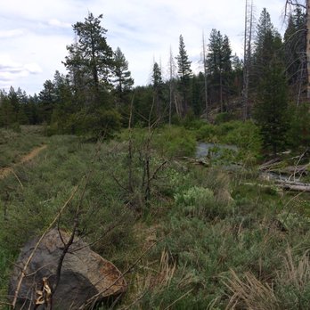 Commemorative Emigrant Trail - Hiking Near Me - Truckee, California