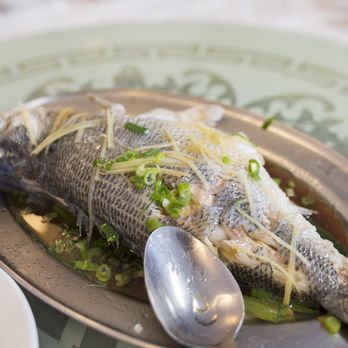 Grand Palace - steamed live fish - Cantonese Near Me - Chicago, Illinois Grand Palace - steamed live fish - Cantonese Near Me - Chicago, Illinois